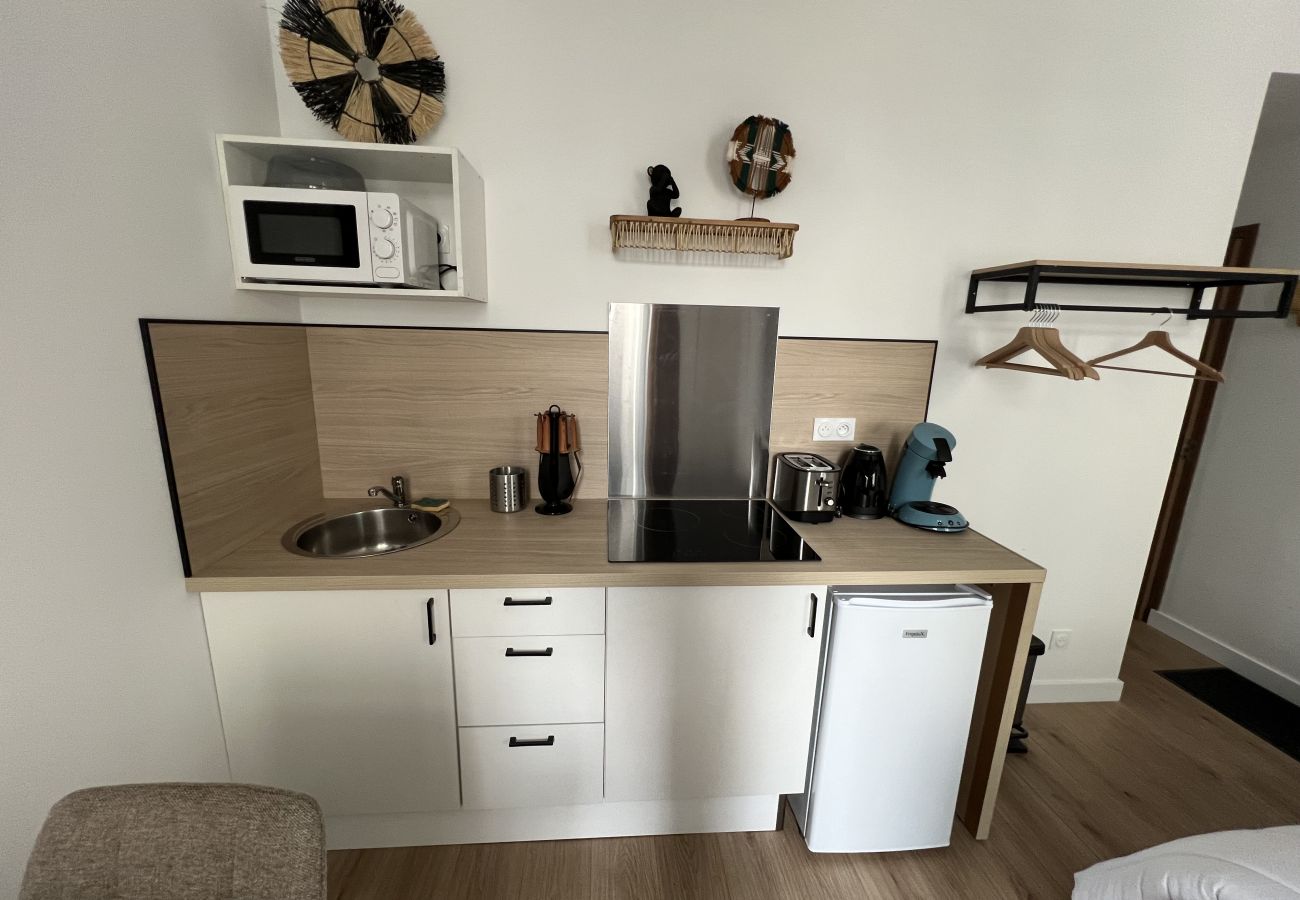 Studio in Boulogne-sur-Mer - Le Safari Urbain : studio 2 pers
