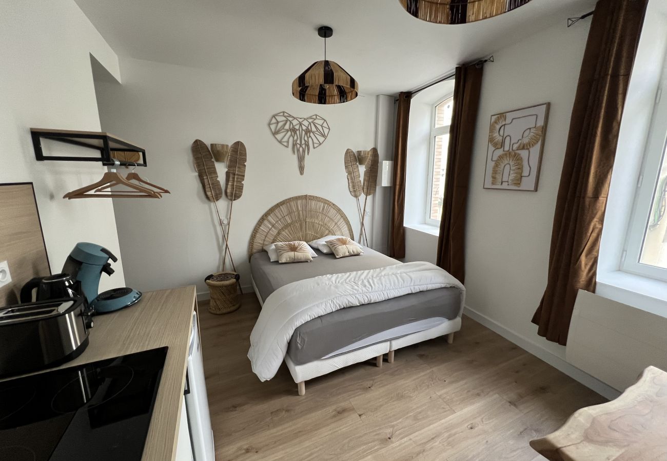 Studio in Boulogne-sur-Mer - Le Safari Urbain : studio 2 pers