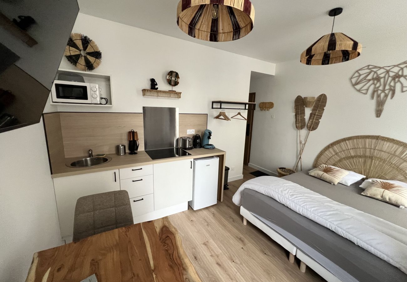 Studio in Boulogne-sur-Mer - Le Safari Urbain : studio 2 pers
