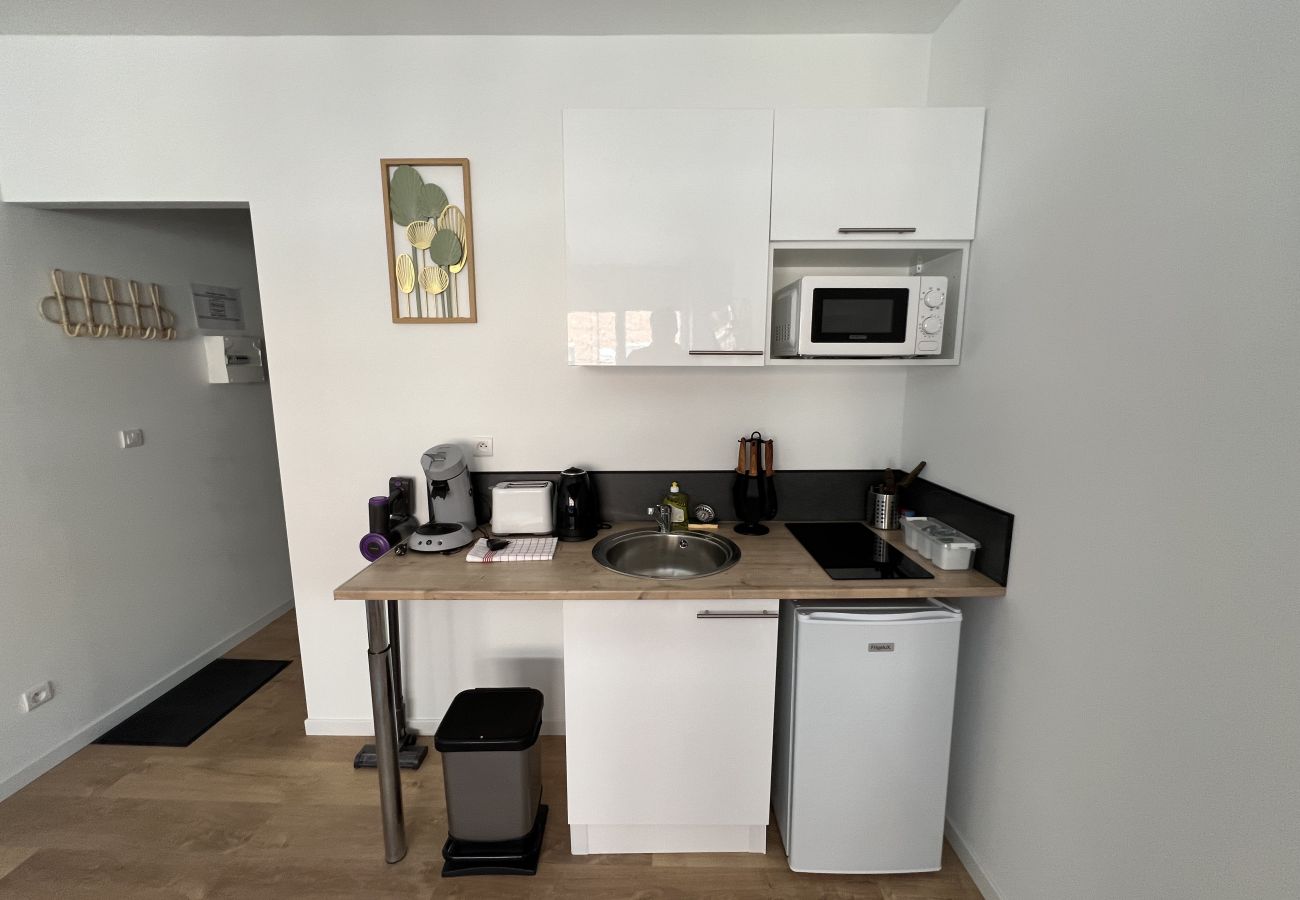 Studio in Lens - Le Naturel, studio 2p