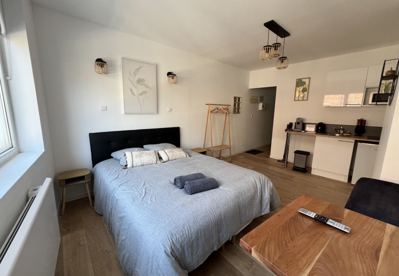 Studio in Lens - Le Naturel, studio 2p