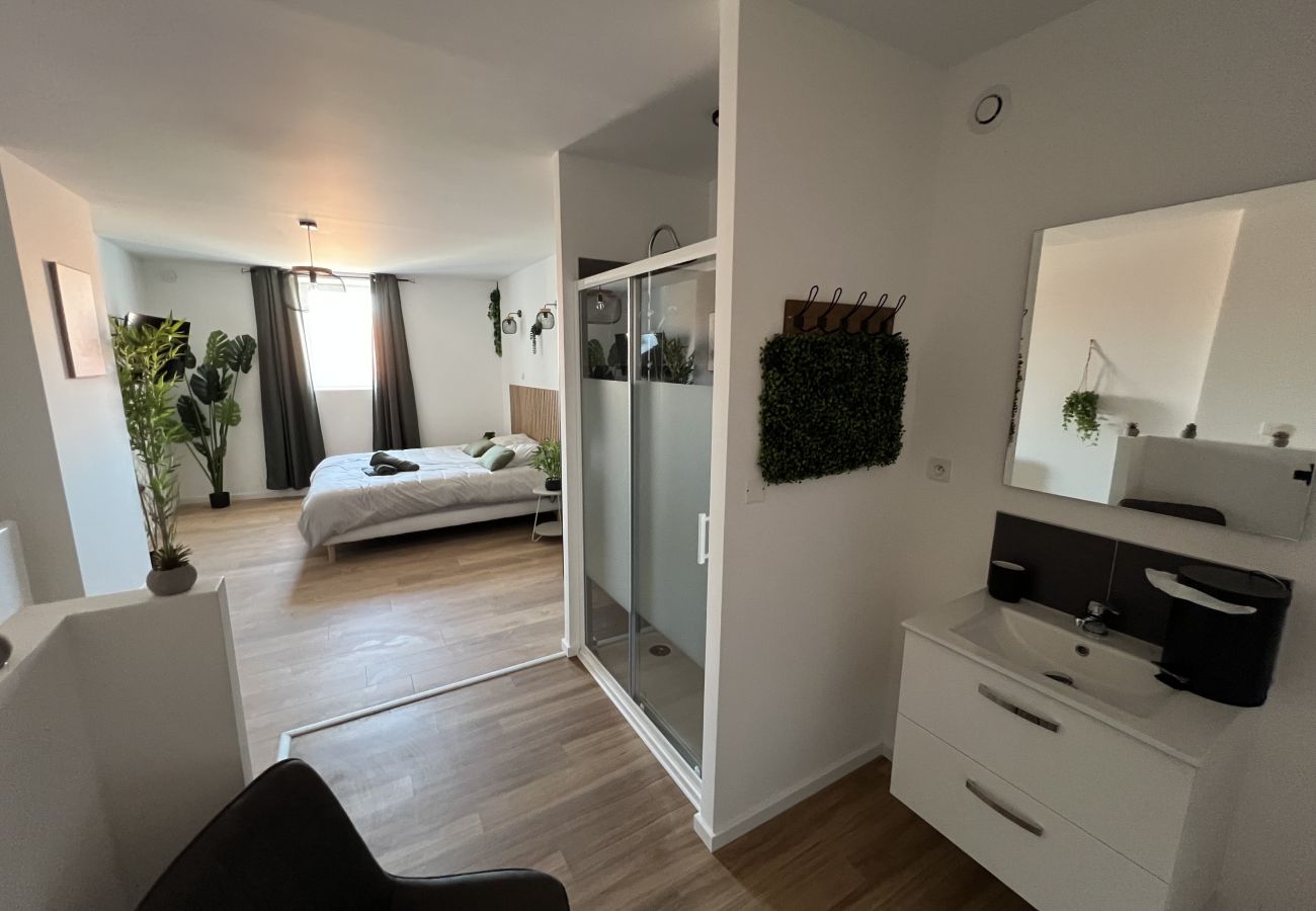 Appartement à Lens - Le Jardin Botanique : Balnéo 2p