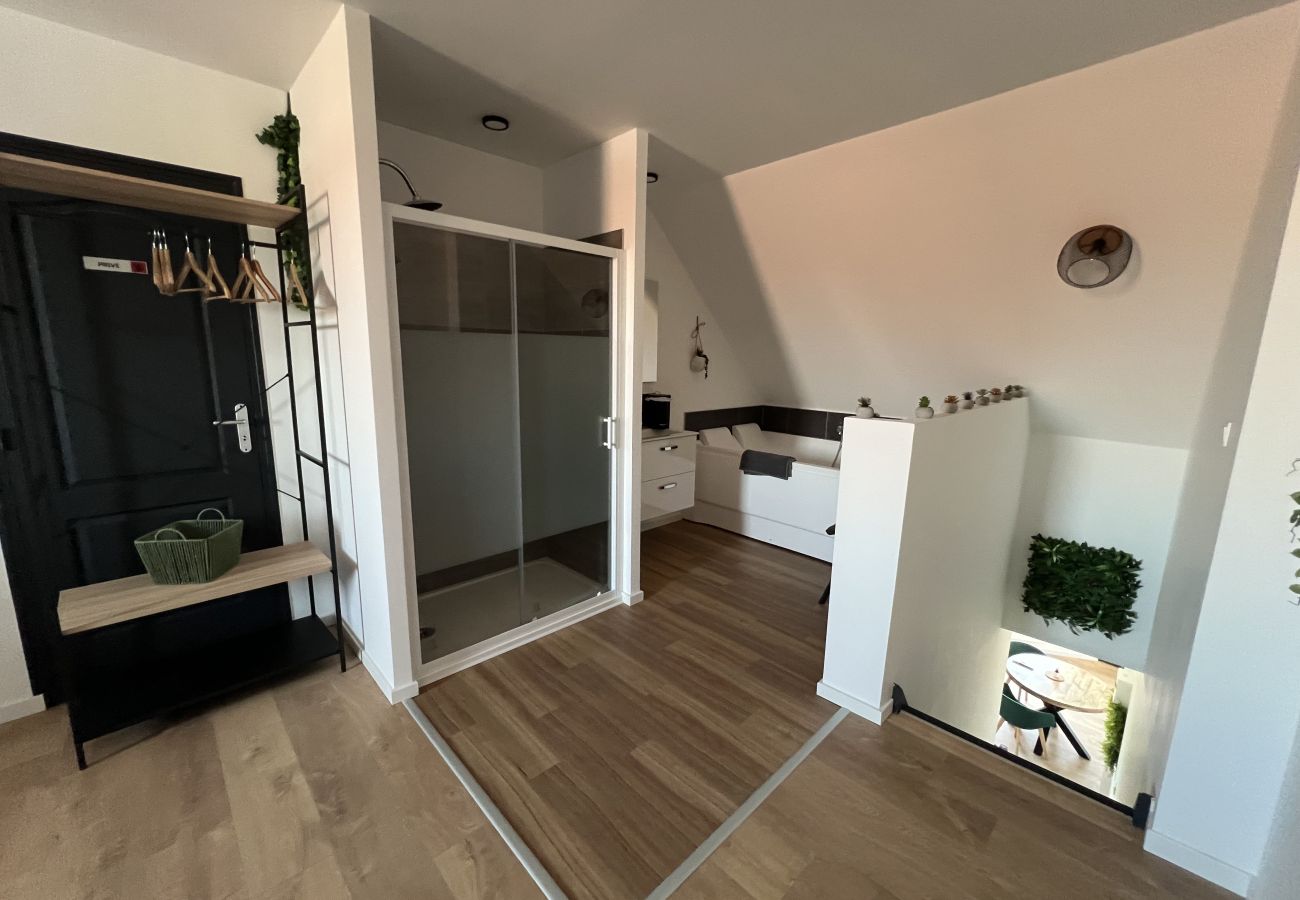 Appartement à Lens - Le Jardin Botanique : Balnéo 2p