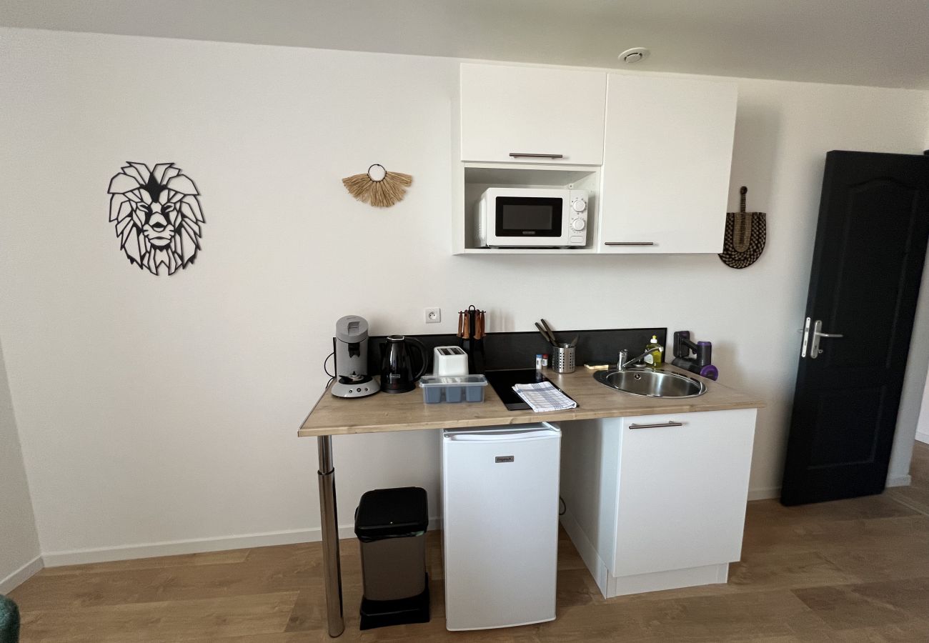 Appartement à Lens - L’Oasis Africaine, 2-4p