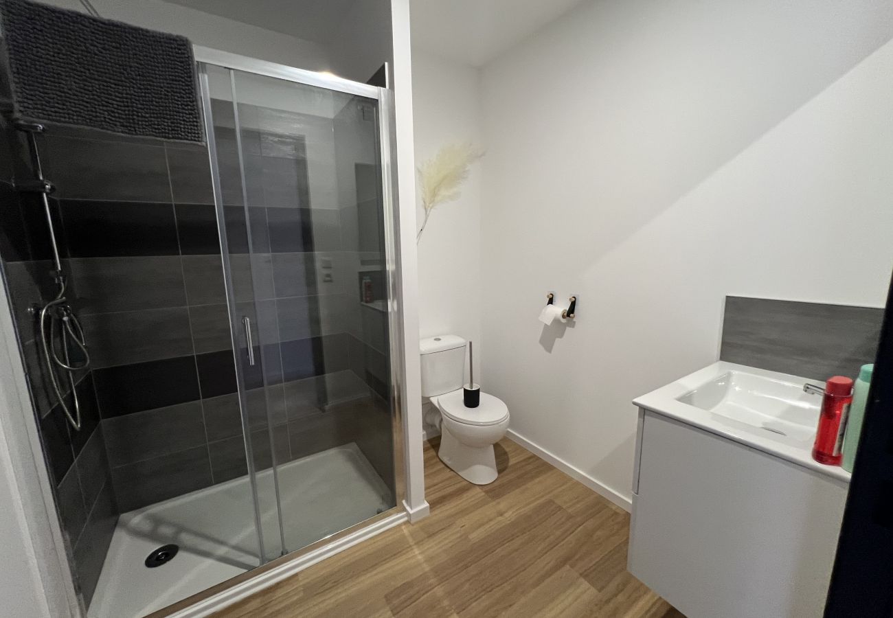 Appartement à Lens - L’Oasis Africaine, 2-4p